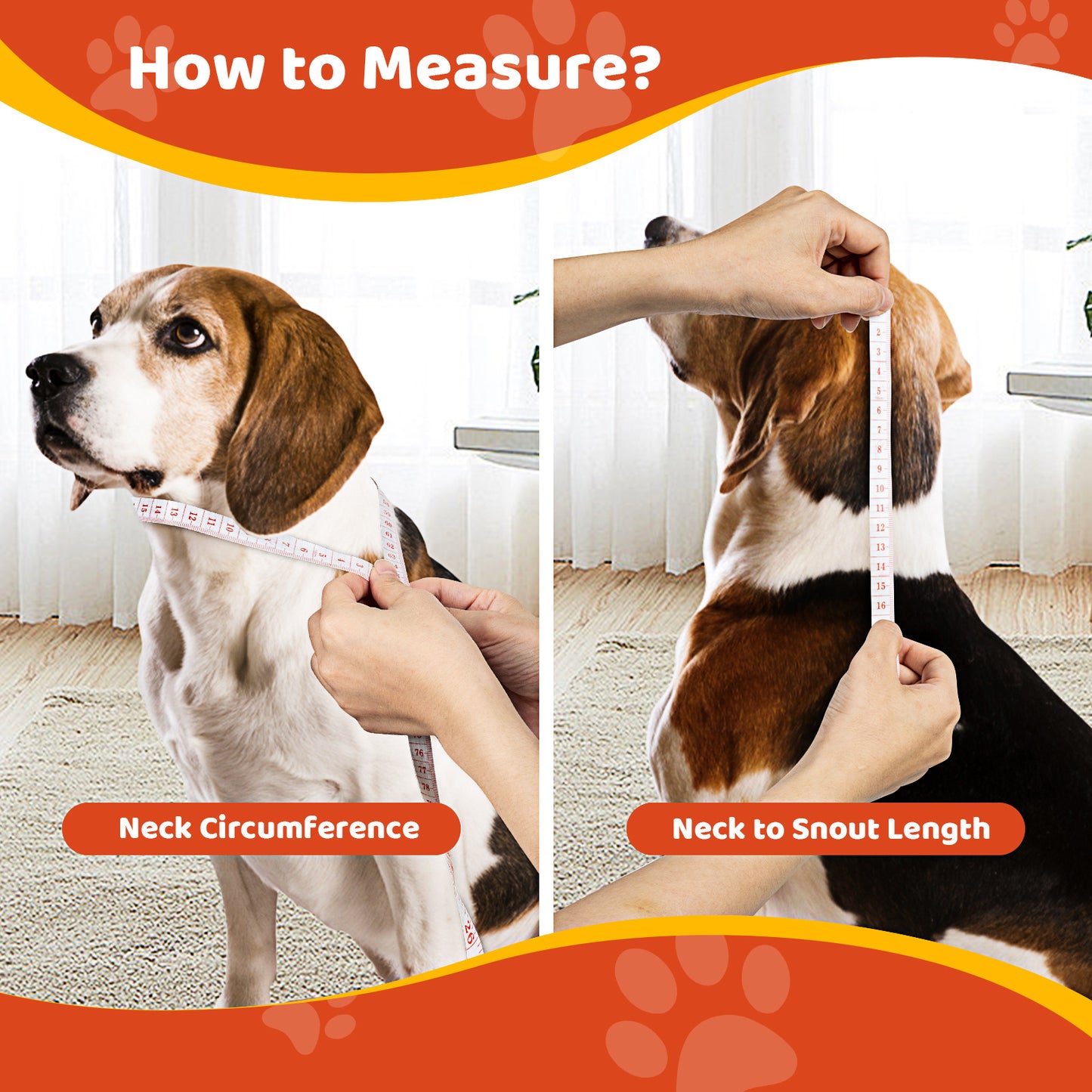 Pet Elizabethan Collar Double Layer
